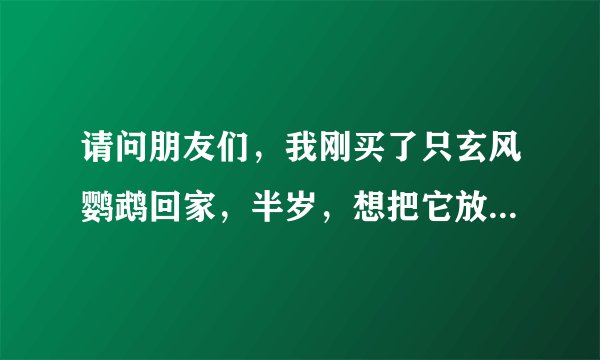 请问朋友们,我刚买了只玄风鹦鹉回家,半岁,想把它放生,不知道它在外面能生存吗?都说说把,谢谢