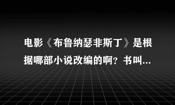 电影《布鲁纳瑟非斯丁》是根据哪部小说改编的啊？书叫什么名字？
