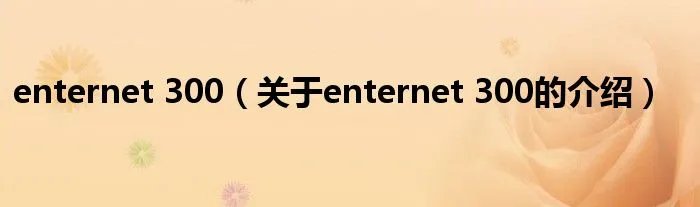 enternet 300（关于enternet 300的介绍）
