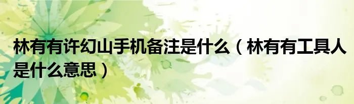 林有有许幻山手机备注是什么(林有有工具人是什么意思)