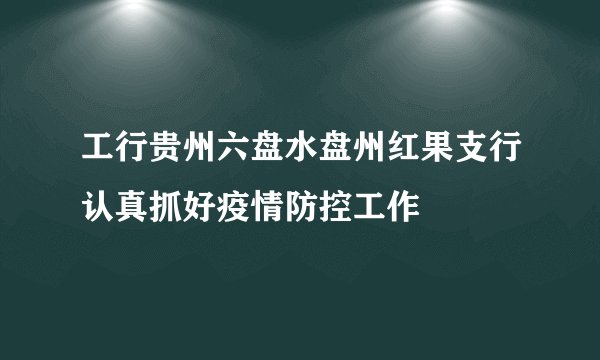工行贵州六盘水盘州红果支行认真抓好疫情防控工作