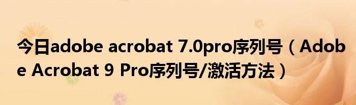今日adobe acrobat 7.0pro序列号(Adobe Acrobat 9 Pro序列号/激活方法)