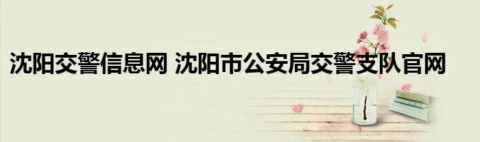 沈阳交警信息网 沈阳市公安局交警支队官网