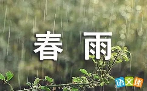 春雨绵绵妻独睡打一字答案是?