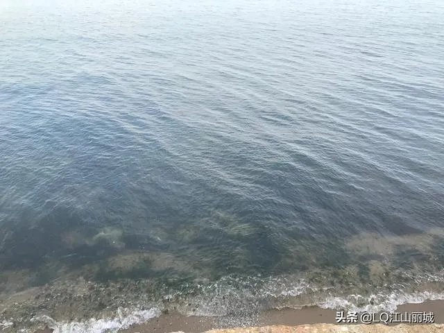 网传李小璐PGone跳同款舞,你怎么看?