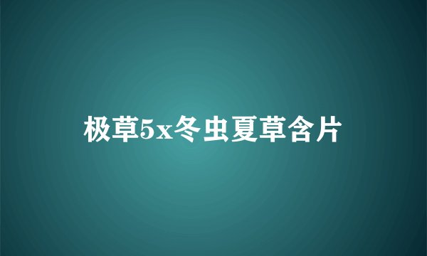 极草5x冬虫夏草含片