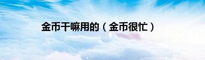 金币干嘛用的(金币很忙)