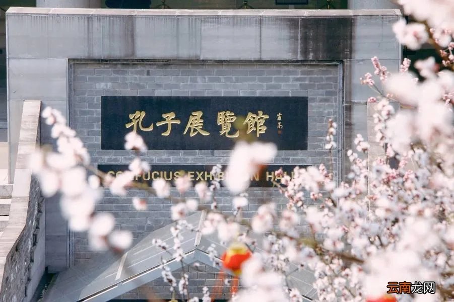 红杏枝头春意闹 红杏枝头春渐悄