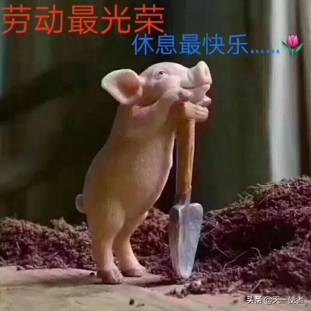 美国呼吁海外公民尽快回国,你如何看待?