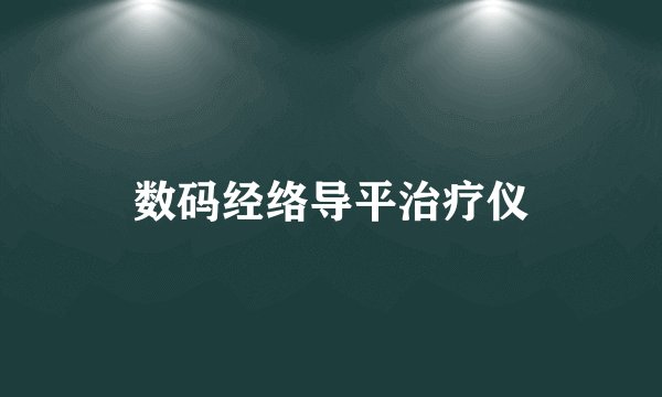 数码经络导平治疗仪