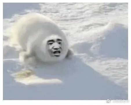 地沟油婊是什么 女生分几种婊