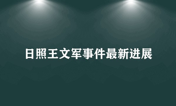 日照王文军事件最新进展