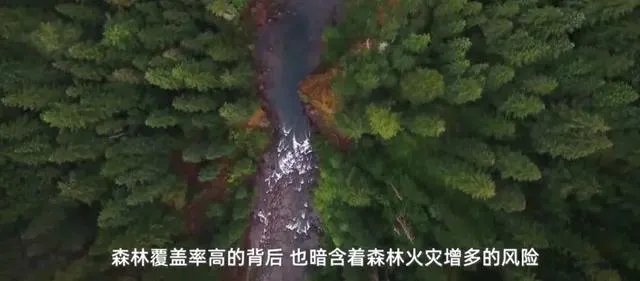 为什么四川凉山再发山火呢?