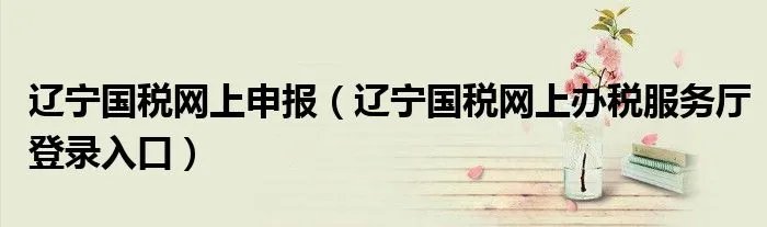 辽宁国税网上申报（辽宁国税网上办税服务厅登录入口）