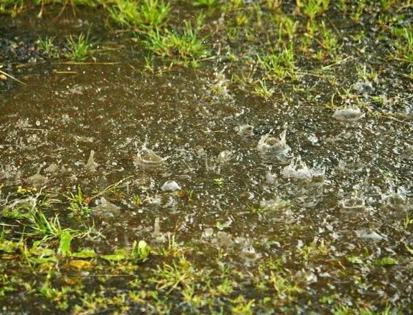 2020年什么时候入梅 2020入梅和出梅时间具体时间