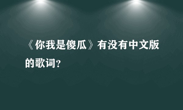 《你我是傻瓜》有没有中文版的歌词?