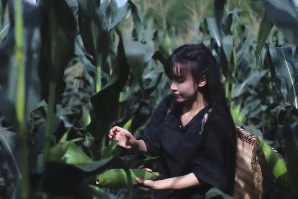 李子柒断更两个多月后发声，言语中哪些信息值得关注？