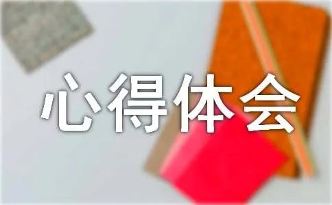 cad实训的心得体会