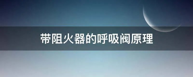 带阻火器的呼吸阀原理