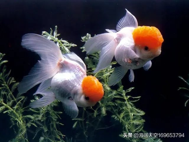 陕西安康中心医院补助抗疫一线医护拿400元,医院领导拿8000元。你怎么看?