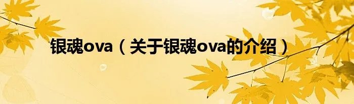 银魂ova（关于银魂ova的介绍）