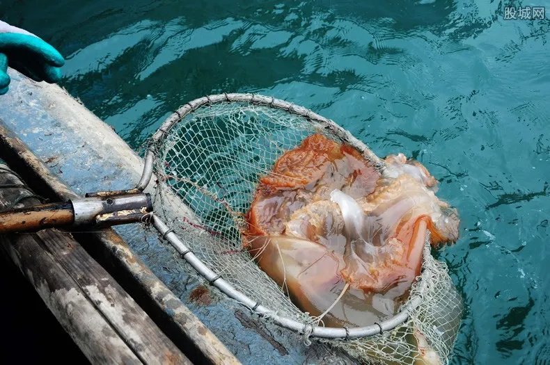 大连在海产品企业外环境中检出病毒 买海产品如何处理