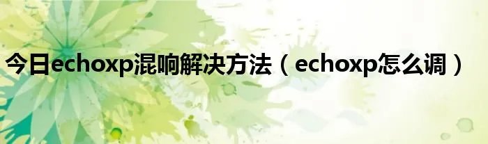 今日echoxp混响解决方法（echoxp怎么调）