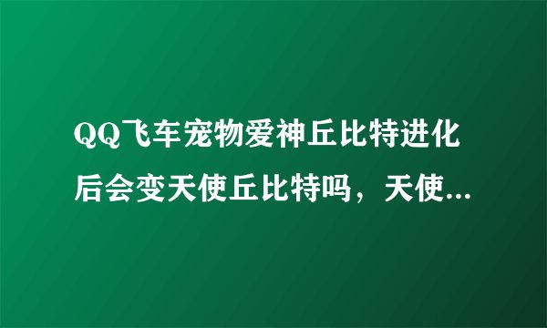 QQ飞车宠物爱神丘比特进化后会变天使丘比特吗，天使丘比特是什么样子，谁有图片？