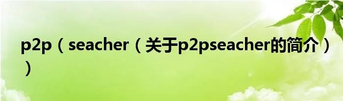 p2p(seacher(关于p2pseacher的简介))