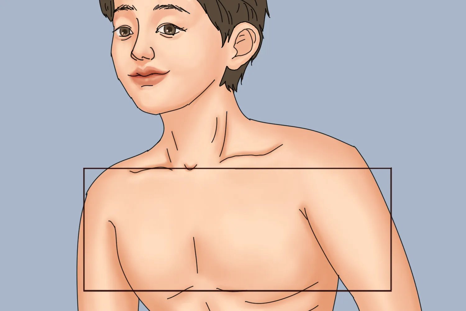 正常呼吸音的听诊部位示意图