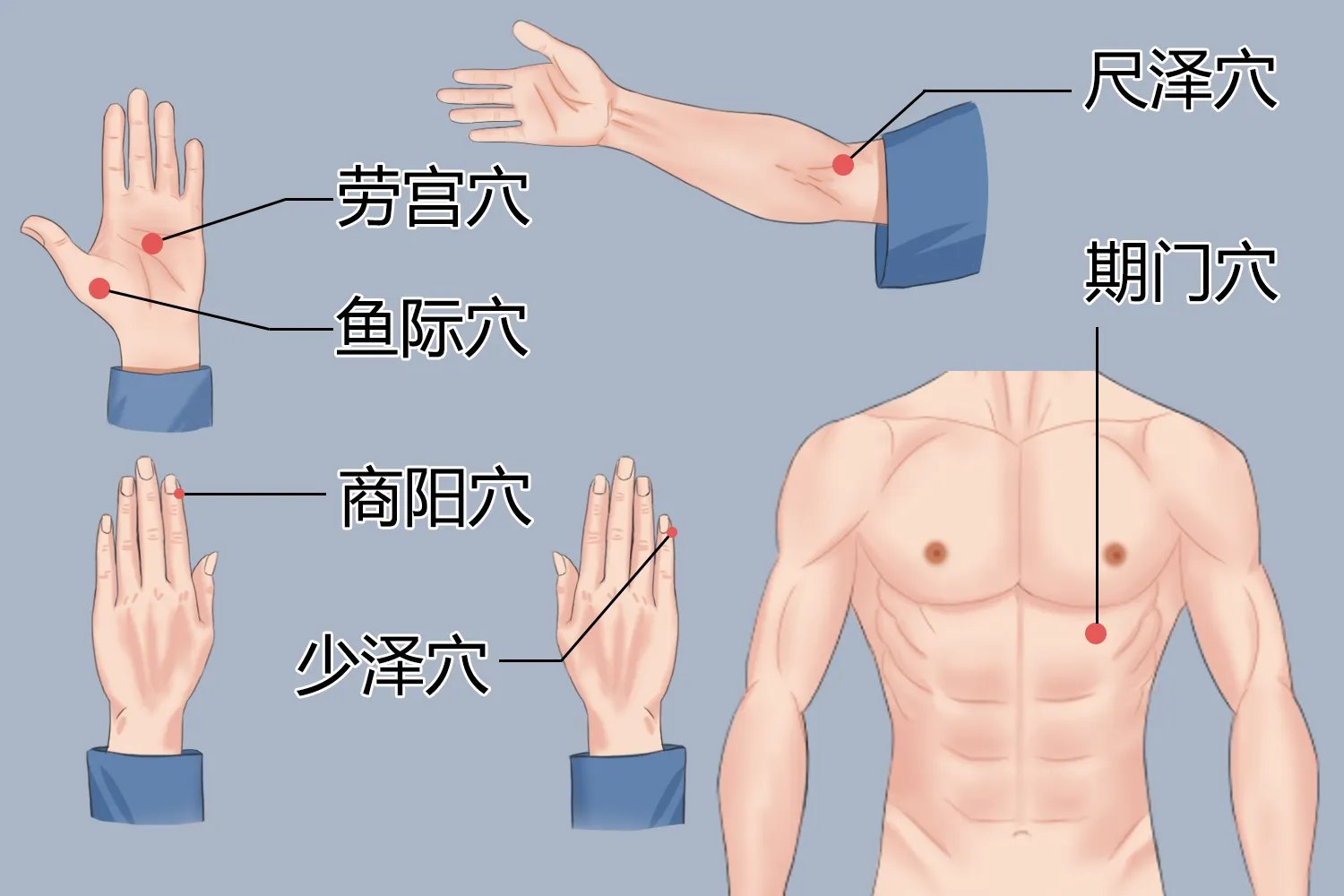 脸上长痘对应五脏示意图