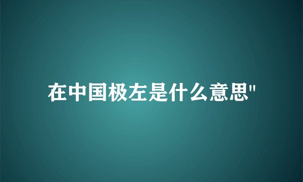在中国极左是什么意思