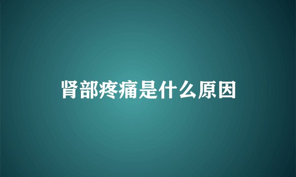 肾部疼痛是什么原因