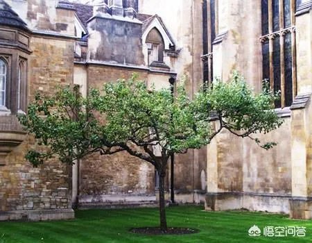 一吨TNT炸药的威力有多大?