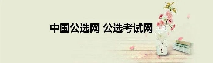 中国公选网 公选考试网