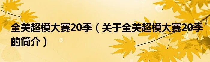 全美超模大赛20季（关于全美超模大赛20季的简介）