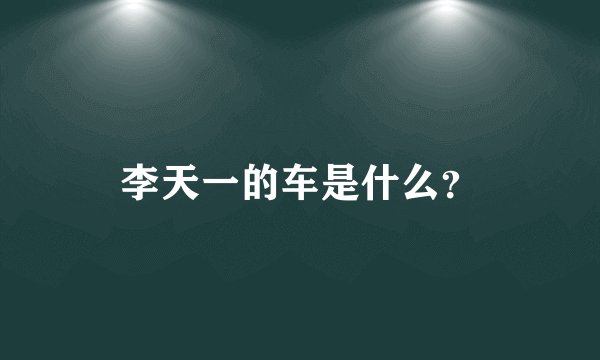 李天一的车是什么？