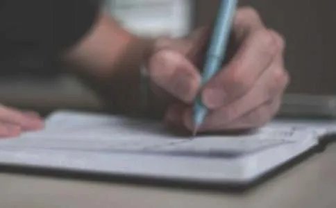 小动物作文600字