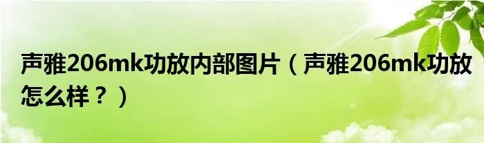 声雅206mk功放内部图片（声雅206mk功放怎么样？）