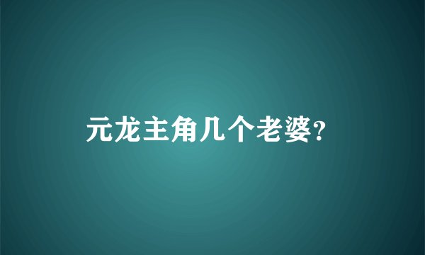 元龙主角几个老婆？