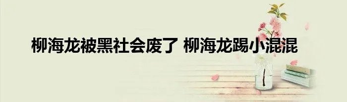 柳海龙被黑社会废了 柳海龙踢小混混