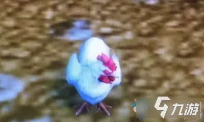 《魔兽世界》小宠物西部荒野小鸡怎么获得 小宠物西部荒野小鸡获得方法介绍