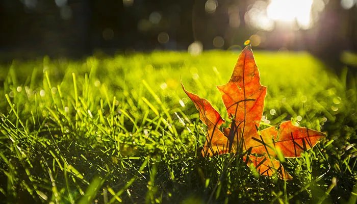 2022年什么时候立秋 2022年立秋时间是什么时候