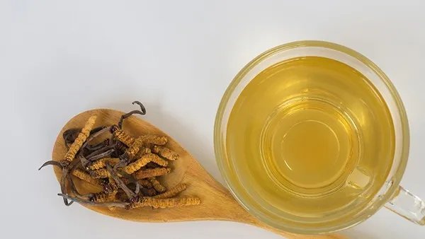 痛风喷云南白药更疼了是什么原因?云南白药具有怎样的功效与作用?