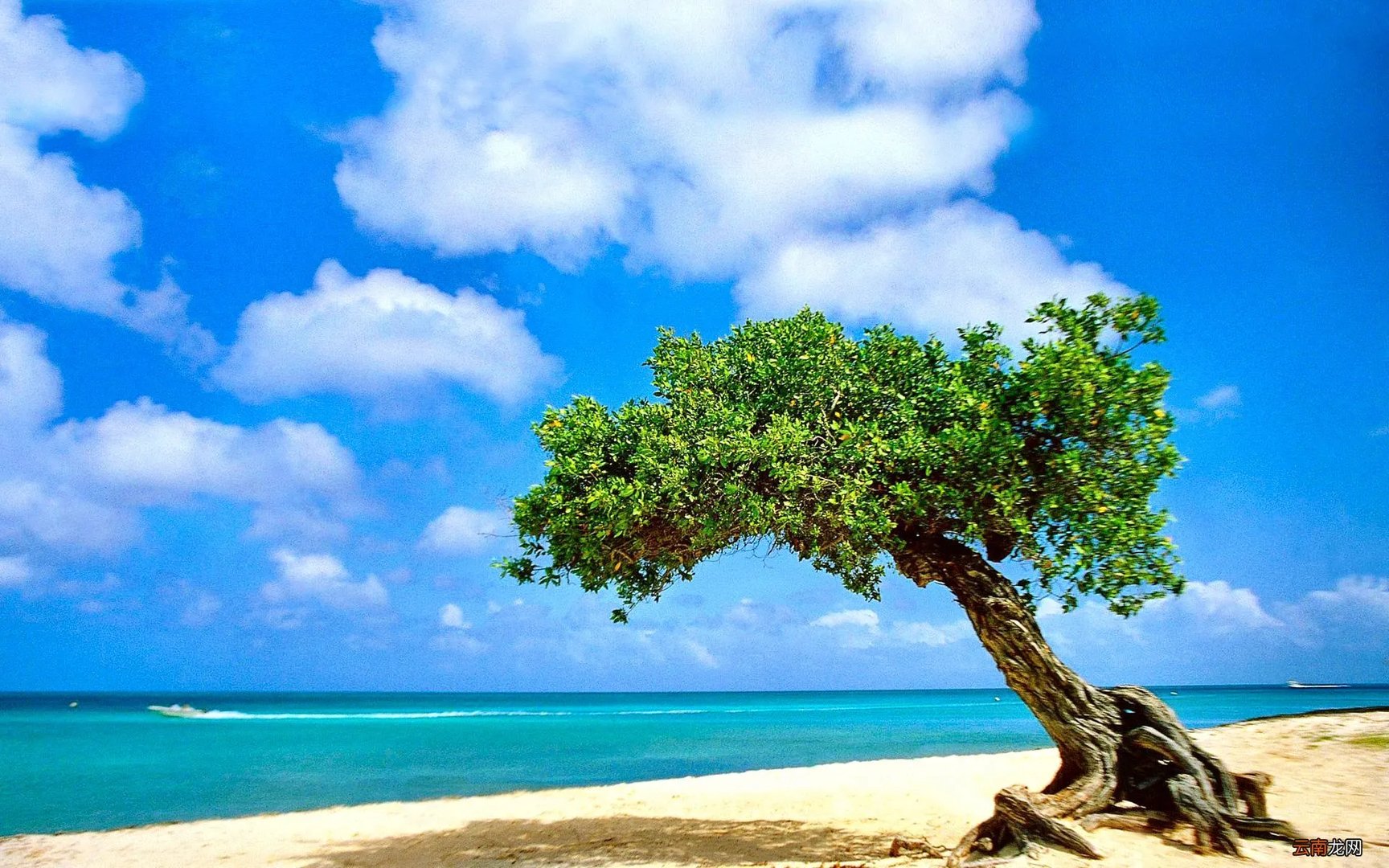 韩都衣舍淘宝店,韩都衣舍淘宝店铺简介