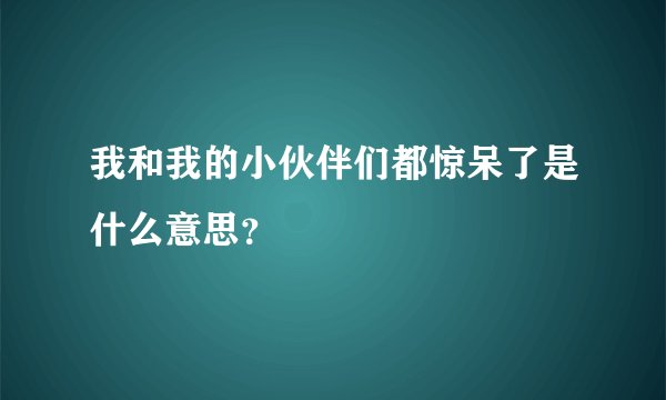 我和我的小伙伴们都惊呆了是什么意思?