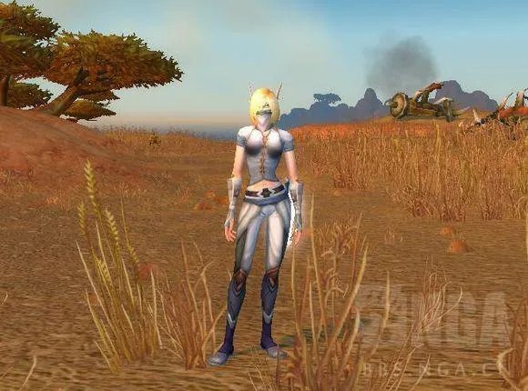 《魔兽世界》幻化装备整理大全