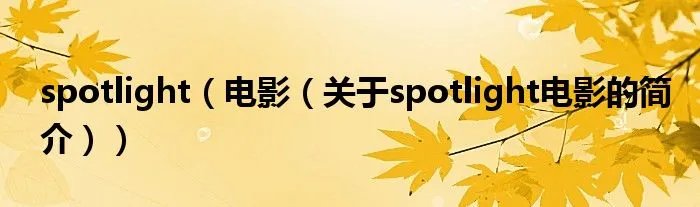 spotlight（电影（关于spotlight电影的简介））