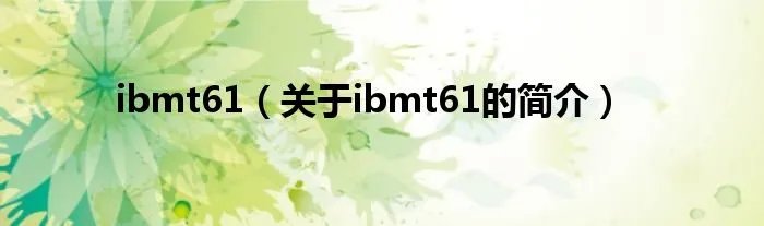 ibmt61（关于ibmt61的简介）