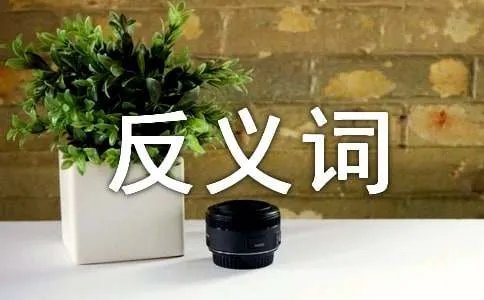 迷惑不解的反义词